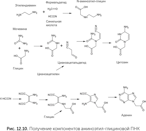 Иллюстрация к книге — Происхождение жизни. От туманности до клетки [i_101.jpg]