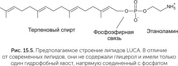 Иллюстрация к книге — Происхождение жизни. От туманности до клетки [i_127.jpg]