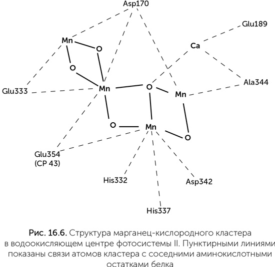 Иллюстрация к книге — Происхождение жизни. От туманности до клетки [i_140.jpg]