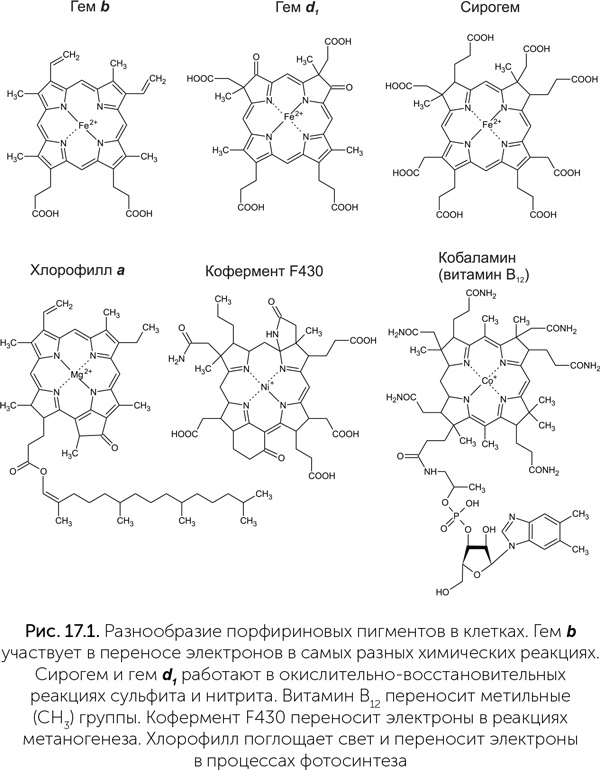 Иллюстрация к книге — Происхождение жизни. От туманности до клетки [i_142.jpg]