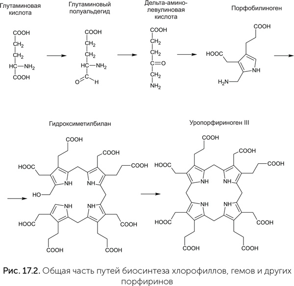 Иллюстрация к книге — Происхождение жизни. От туманности до клетки [i_143.jpg]