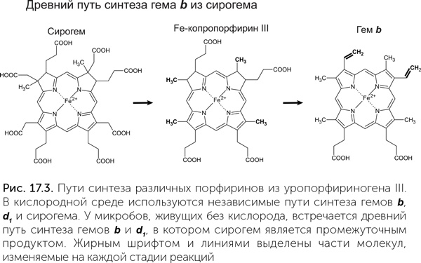 Иллюстрация к книге — Происхождение жизни. От туманности до клетки [i_145.jpg]