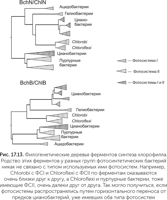 Иллюстрация к книге — Происхождение жизни. От туманности до клетки [i_156.jpg]