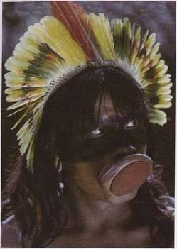 Иллюстрация к книге — Голый мужчина [doc2fb_image_0200001b.jpg]