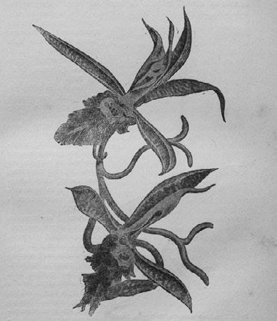 Иллюстрация к книге — Этюды о природе человека [i_003.jpg]