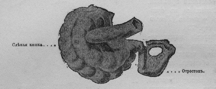 Иллюстрация к книге — Этюды о природе человека [i_009.jpg]