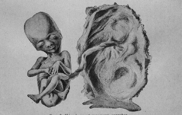 Иллюстрация к книге — Этюды о природе человека [i_011.jpg]