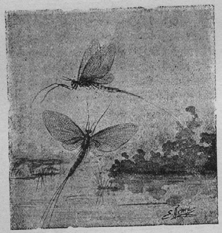 Иллюстрация к книге — Этюды о природе человека [i_021.jpg]