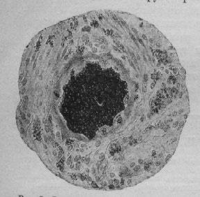 Иллюстрация к книге — Этюды о природе человека [i_030.jpg]