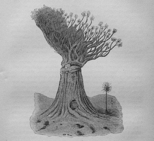 Иллюстрация к книге — Этюды о природе человека [i_037.jpg]