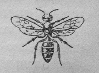 Иллюстрация к книге — Этюды о природе человека [i_048.jpg]