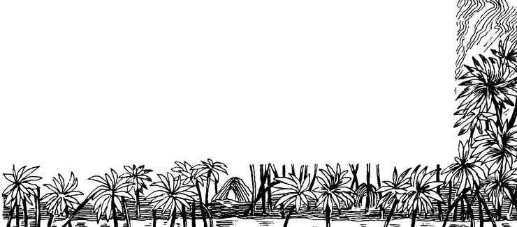 Иллюстрация к книге — Придуманные люди с острова Минданао [i_030.jpg]