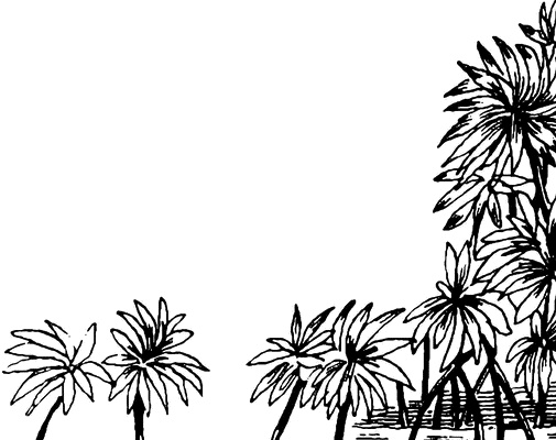 Иллюстрация к книге — Придуманные люди с острова Минданао [i_033.jpg]