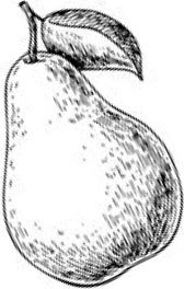 Иллюстрация к книге — Аллергошкола для мам [doc2fb_image_0200001b.jpg]