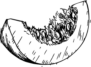 Иллюстрация к книге — Аллергошкола для мам [doc2fb_image_03000019.jpg]