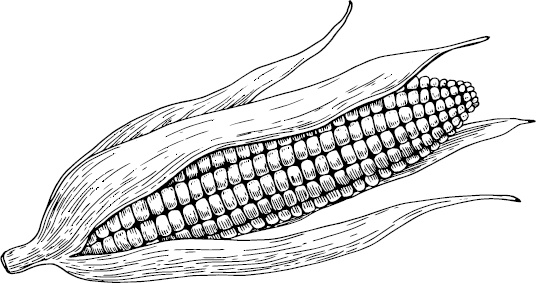 Иллюстрация к книге — Аллергошкола для мам [doc2fb_image_0300001d.jpg]