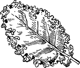 Иллюстрация к книге — Аллергошкола для мам [doc2fb_image_0300001e.jpg]