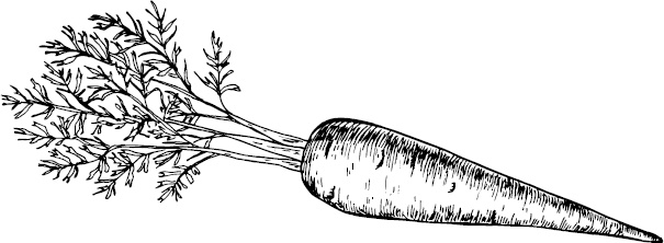 Иллюстрация к книге — Аллергошкола для мам [doc2fb_image_0300001f.jpg]