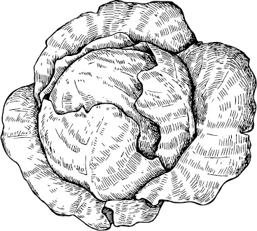 Иллюстрация к книге — Аллергошкола для мам [doc2fb_image_03000022.jpg]