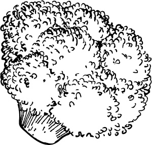 Иллюстрация к книге — Аллергошкола для мам [doc2fb_image_03000027.jpg]