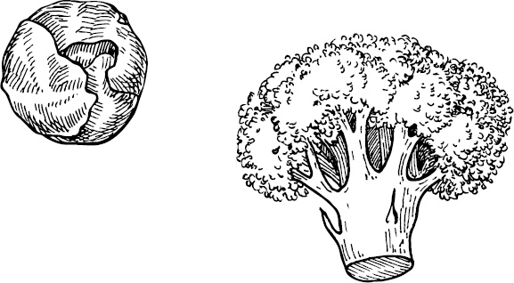 Иллюстрация к книге — Аллергошкола для мам [doc2fb_image_03000028.jpg]