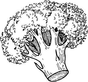 Иллюстрация к книге — Аллергошкола для мам [doc2fb_image_0300002b.jpg]