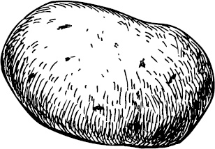 Иллюстрация к книге — Аллергошкола для мам [doc2fb_image_0300002c.jpg]