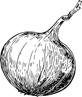 Иллюстрация к книге — Аллергошкола для мам [doc2fb_image_0300002d.jpg]