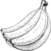 Иллюстрация к книге — Аллергошкола для мам [doc2fb_image_03000032.jpg]