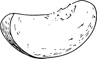 Иллюстрация к книге — Аллергошкола для мам [doc2fb_image_03000033.jpg]