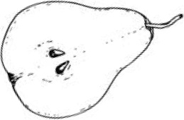 Иллюстрация к книге — Аллергошкола для мам [doc2fb_image_03000034.jpg]