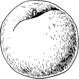 Иллюстрация к книге — Аллергошкола для мам [doc2fb_image_03000037.jpg]