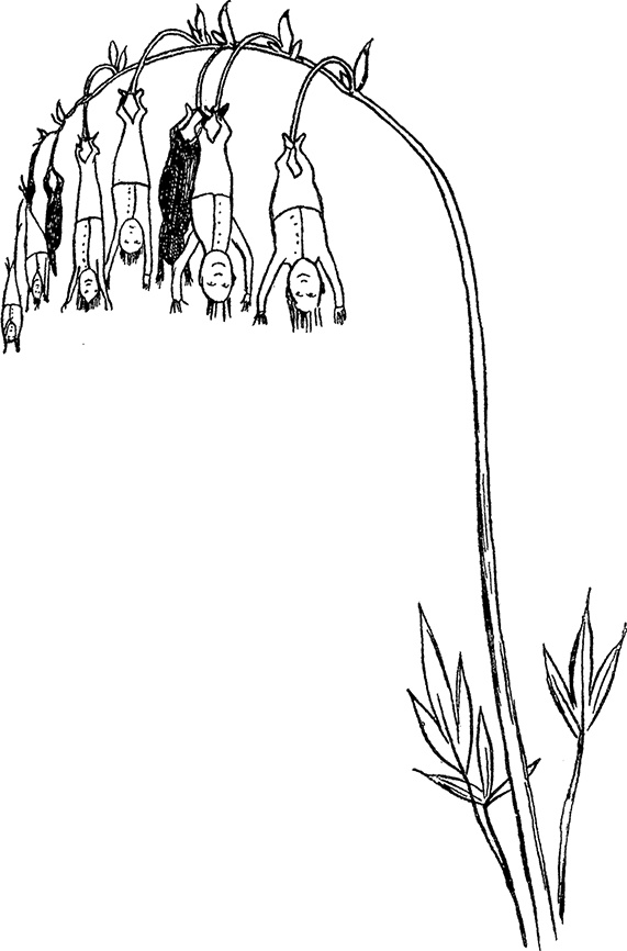 Иллюстрация к книге — Какое дерево росло в райском саду? [i_001.jpg]