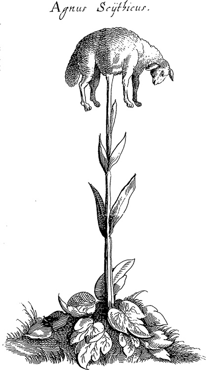 Иллюстрация к книге — Какое дерево росло в райском саду? [i_004.jpg]