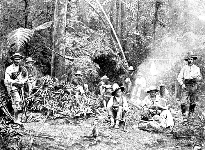 Иллюстрация к книге — Какое дерево росло в райском саду? [i_006.jpg]