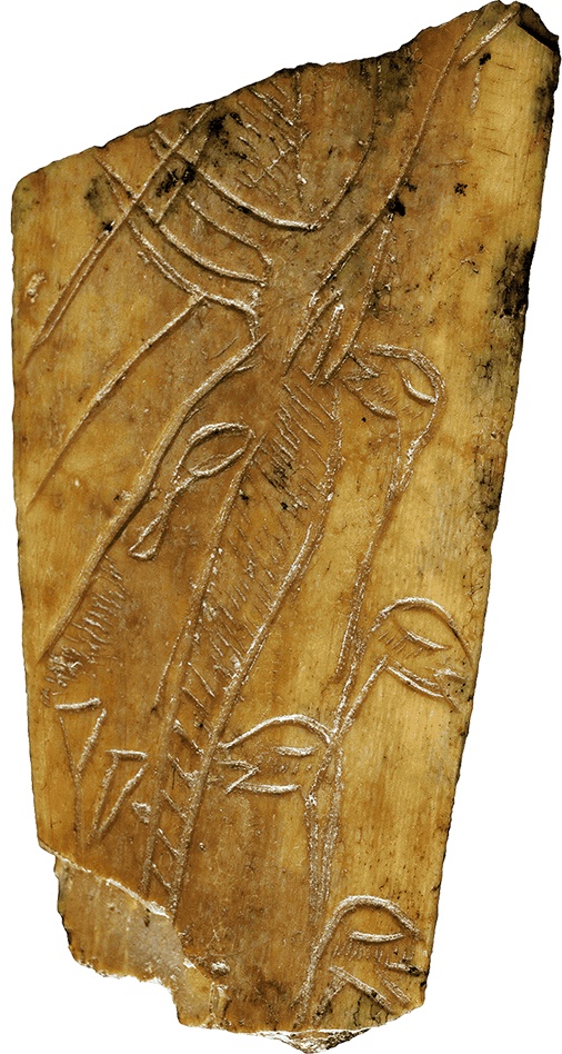 Иллюстрация к книге — Какое дерево росло в райском саду? [i_009.jpg]