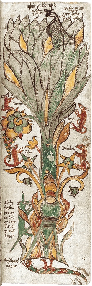 Иллюстрация к книге — Какое дерево росло в райском саду? [i_012.jpg]