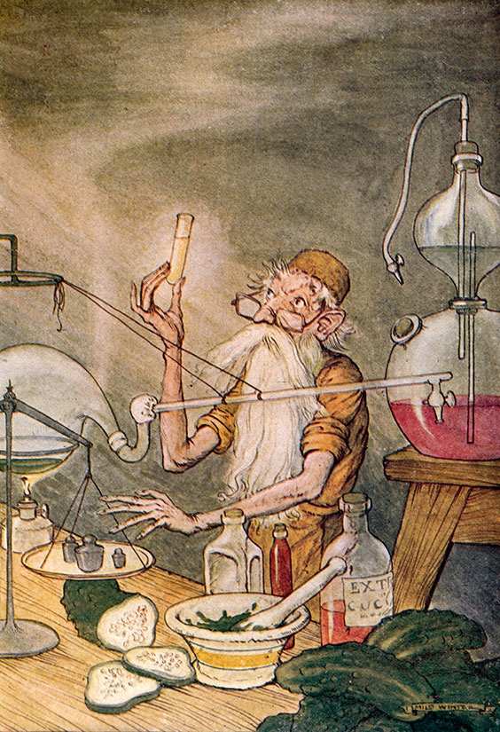 Иллюстрация к книге — Какое дерево росло в райском саду? [i_029.jpg]