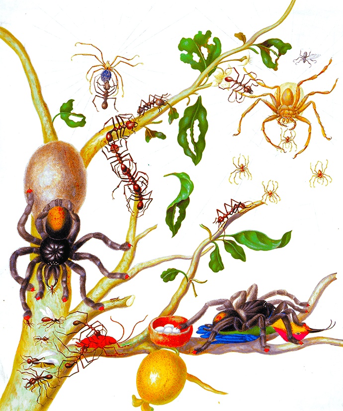 Иллюстрация к книге — Какое дерево росло в райском саду? [i_035.jpg]