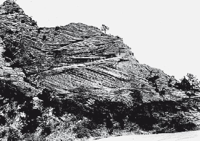 Иллюстрация к книге — Вселенная внутри нас. Что общего у камней, планет и людей [i_012.jpg]