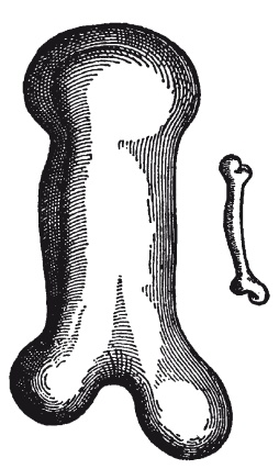 Иллюстрация к книге — Вселенная внутри нас. Что общего у камней, планет и людей [i_024.jpg]