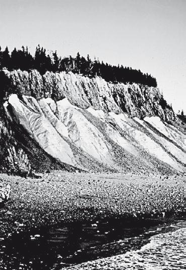 Иллюстрация к книге — Вселенная внутри нас. Что общего у камней, планет и людей [i_037.jpg]