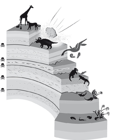 Иллюстрация к книге — Вселенная внутри нас. Что общего у камней, планет и людей [i_042.jpg]