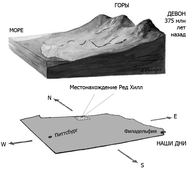 Иллюстрация к книге — Внутренняя рыба. История человеческого тела с древнейших времен до наших дней [i_002.jpg]