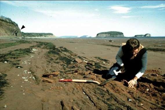 Иллюстрация к книге — Внутренняя рыба. История человеческого тела с древнейших времен до наших дней [i_018.jpg]