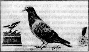 Иллюстрация к книге — Семь экспериментов, которые изменят мир [i_001.jpg]