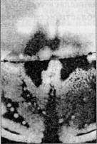 Иллюстрация к книге — Семь экспериментов, которые изменят мир [i_014.jpg]