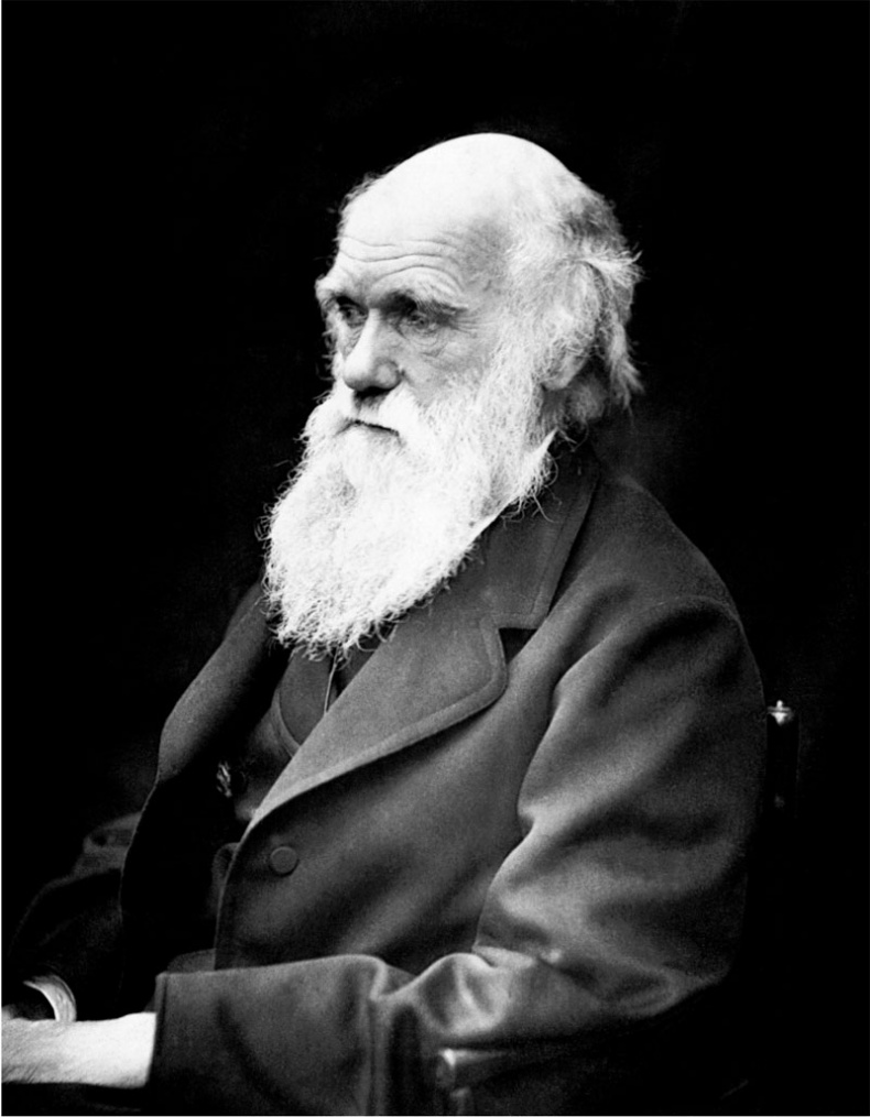 Иллюстрация к книге — Генетика за 1 час [_02.jpg]