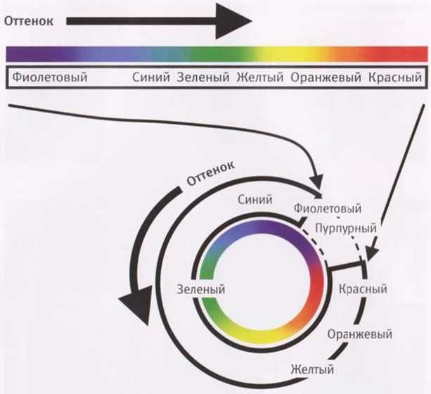Иллюстрация к книге — Революция в зрении. Что, как и почему мы видим на самом деле [img_10.jpg]