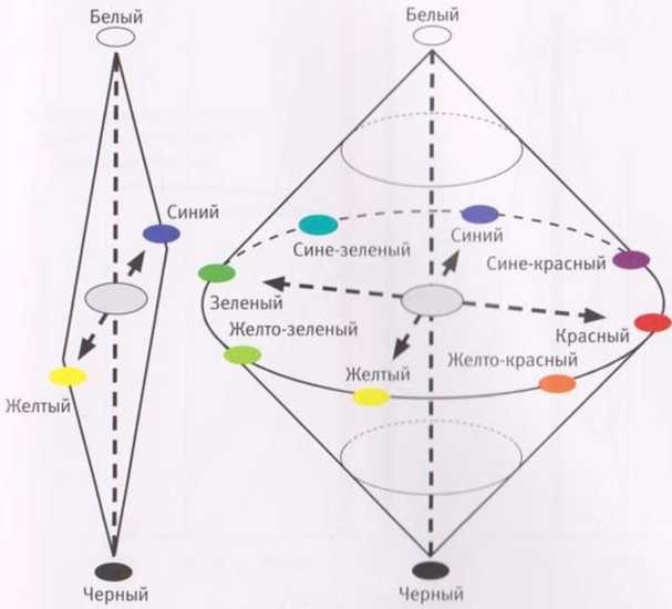 Иллюстрация к книге — Революция в зрении. Что, как и почему мы видим на самом деле [img_13.jpg]